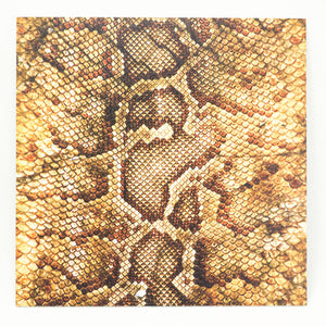 Infused KYDEX® Sheet - Snake Skin